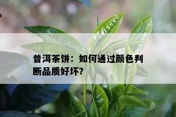 普洱茶饼：怎样通过颜色判断品质好坏？