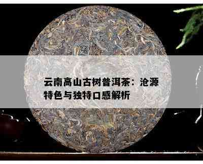 云南高山古树普洱茶：沧源特色与独特口感解析