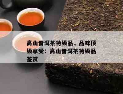 高山普洱茶特级品，品味顶级享受：高山普洱茶特级品鉴赏