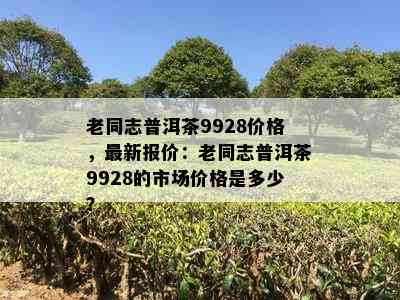 老同志普洱茶9928价格，最新报价：老同志普洱茶9928的市场价格是多少？