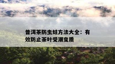 普洱茶防虫蛀方法大全：有效防止茶叶受潮变质