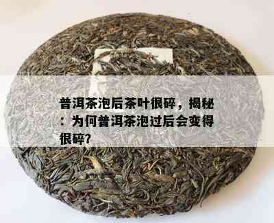 普洱茶泡后茶叶很碎，揭秘：为何普洱茶泡过后会变得很碎？