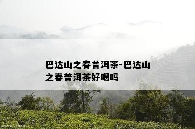 巴达山之春普洱茶-巴达山之春普洱茶好喝吗