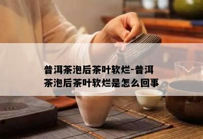 普洱茶泡后茶叶软烂-普洱茶泡后茶叶软烂是怎么回事