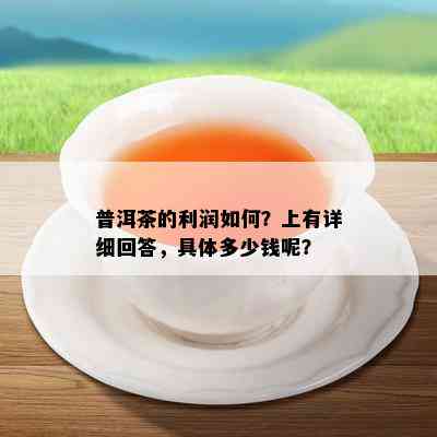 普洱茶的利润怎样？上有详细回答，具体多少钱呢？