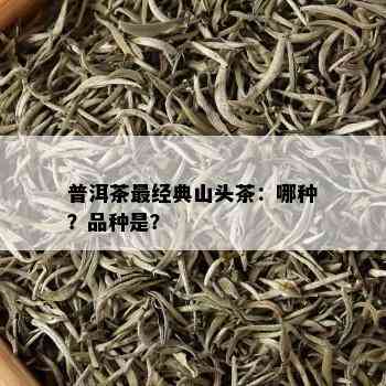 普洱茶最经典山头茶：哪种？品种是？