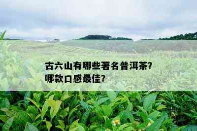 古六山有哪些著名普洱茶？哪款口感更佳？