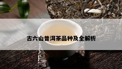 古六山普洱茶品种及全解析