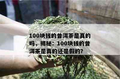 100块钱的普洱茶是真的吗，揭秘：100块钱的普洱茶是真的还是假的？