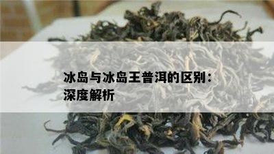 冰岛与冰岛王普洱的区别：深度解析