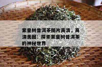 紫皇树普洱茶图片高清，高清美图：探索紫皇树普洱茶的神秘世界