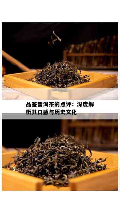 品鉴普洱茶的点评：深度解析其口感与历史文化