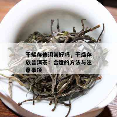 干燥存普洱茶好吗，干燥存放普洱茶：合适的方法与注意事项