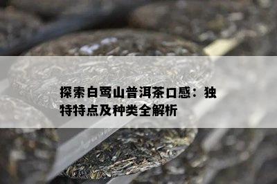 探索白莺山普洱茶口感：特别特点及种类全解析