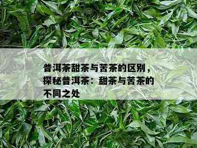 普洱茶甜茶与苦茶的区别，探秘普洱茶：甜茶与苦茶的不同之处