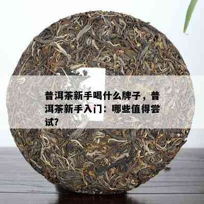 普洱茶新手喝什么牌子，普洱茶新手入门：哪些值得尝试？