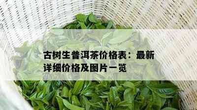 古树生普洱茶价格表：最新详细价格及图片一览