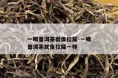 一喝普洱茶就像拉屎-一喝普洱茶就像拉屎一样