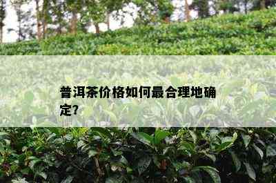 普洱茶价格如何最合理地确定？