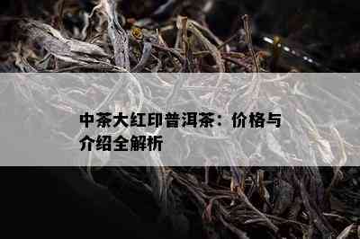 中茶大红印普洱茶：价格与介绍全解析