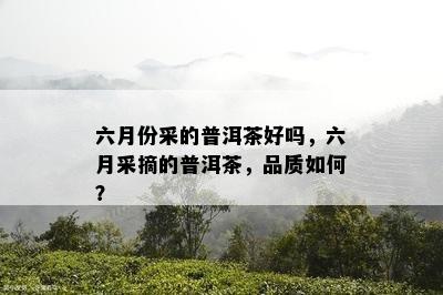 六月份采的普洱茶好吗，六月采摘的普洱茶，品质如何？