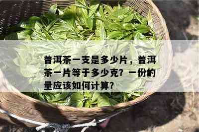 普洱茶一支是多少片，普洱茶一片等于多少克？一份的量应怎样计算？