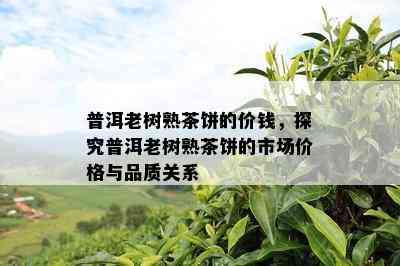 普洱老树熟茶饼的价钱，探究普洱老树熟茶饼的市场价格与品质关系