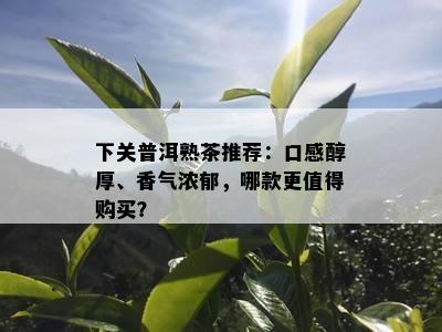 下关普洱熟茶推荐：口感醇厚、香气浓郁，哪款更值得购买？