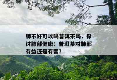 肺不好可以喝普洱茶吗，探讨肺部健康：普洱茶对肺部有益还是有害？