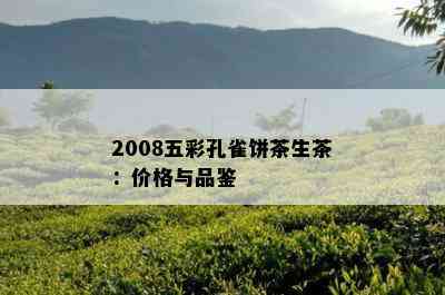 2008五彩孔雀饼茶生茶：价格与品鉴