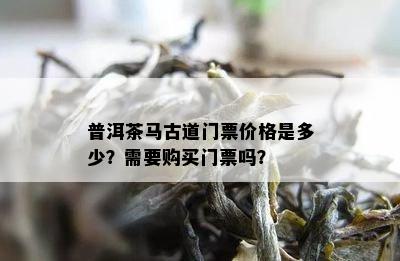 普洱茶马古道门票价格是多少？需要购买门票吗？