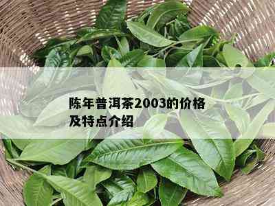 陈年普洱茶2003的价格及特点介绍