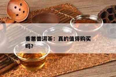 香蕙普洱茶：真的值得购买吗？