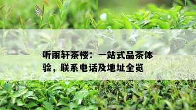 听雨轩茶楼：一站式品茶体验，联系电话及地址全览