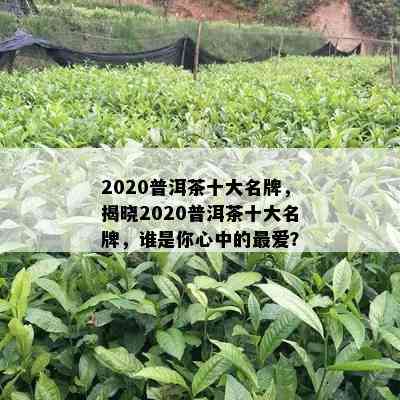 2020普洱茶十大名牌，揭晓2020普洱茶十大名牌，谁是你心中的更爱？