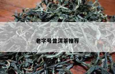 老字号普洱茶推荐