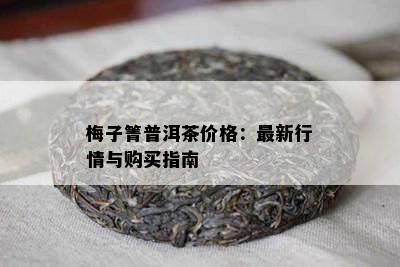 梅子箐普洱茶价格：最新行情与购买指南