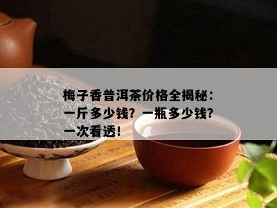 梅子香普洱茶价格全揭秘：一斤多少钱？一瓶多少钱？一次看透！