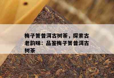 梅子箐普洱古树茶，探索古老韵味：品鉴梅子箐普洱古树茶