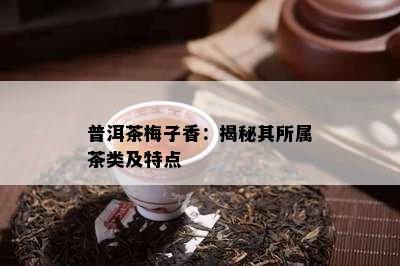 普洱茶梅子香：揭秘其所属茶类及特点