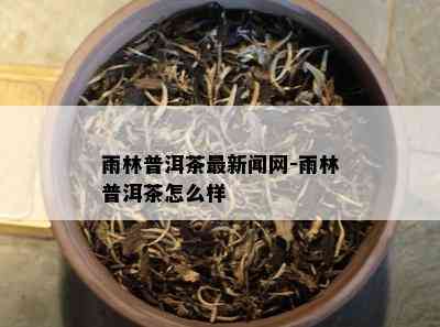 雨林普洱茶最新闻网-雨林普洱茶怎么样