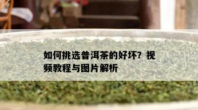 如何挑选普洱茶的好坏？视频教程与图片解析