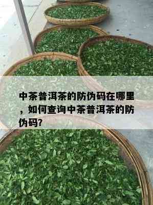 中茶普洱茶的防伪码在哪里，如何查询中茶普洱茶的防伪码？