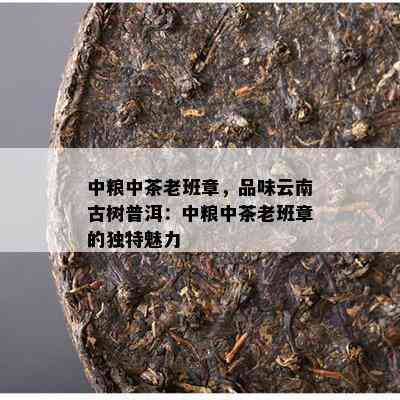 中粮中茶老班章，品味云南古树普洱：中粮中茶老班章的独特魅力