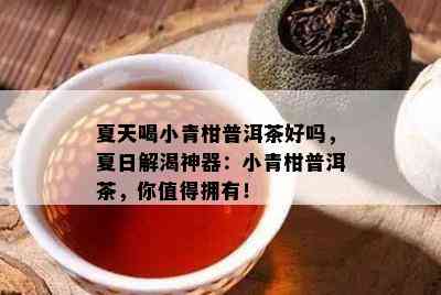 夏天喝小青柑普洱茶好吗，夏日解渴神器：小青柑普洱茶，你值得拥有！