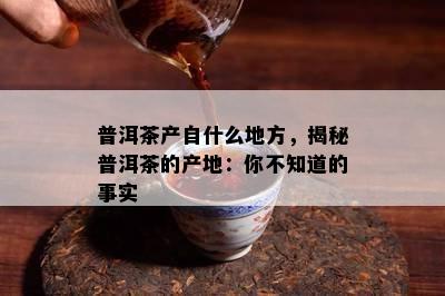 普洱茶产自什么地方，揭秘普洱茶的产地：你不知道的事实