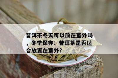 普洱茶冬天可以放在室外吗，冬季保存：普洱茶是否适合放置在室外？