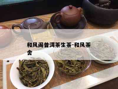 和风阁普洱茶生茶-和风茶舍