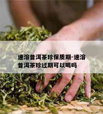 速溶普洱茶珍保质期-速溶普洱茶珍过期可以喝吗