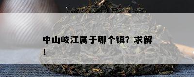 中山岐江属于哪个镇？求解！